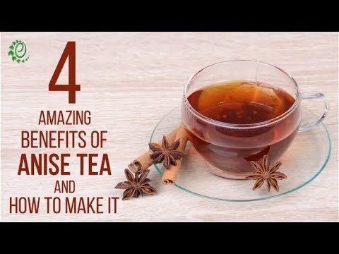 download lagu mp3 mp4 Star Anise Tea Benefits, download lagu Star Anise Tea Benefits gratis, unduh video klip Star Anise Tea Benefits