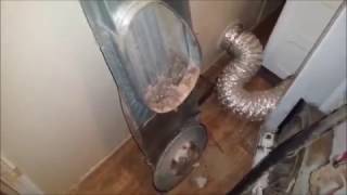 Fast Fix - Dryer Taking Too Long to Dry Clothes, Won't Get Hot