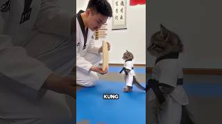 Download lagu He Thought the Cat Couldn’t Do It😳 mp3 Download lagu He Thought the Cat Couldn’t Do It😳 mp3