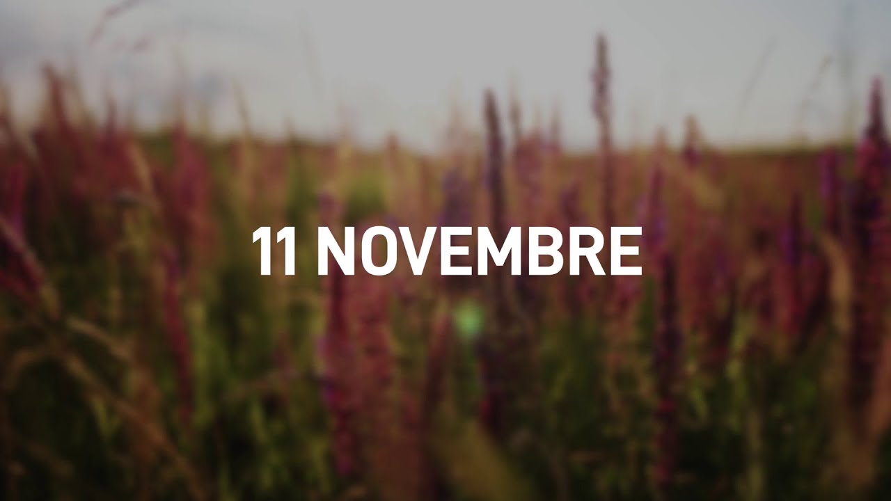 11 Novembre 2025 | Meditazione Parole di Vita