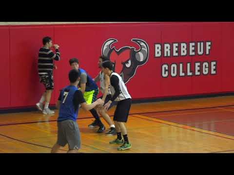 Wonton Bombers vs Bumble Bees | Sunday Tier 4 Semi Finals - Tcbl 2018 Winter