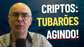 CRIPTOMOEDAS EM ALERTA! O Que Fazer AGORA?