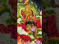 Tulja Bhavani Status Aai Tulja Bhavani Whatsapp Status Tuljapur Devi Status Youtubeshorts