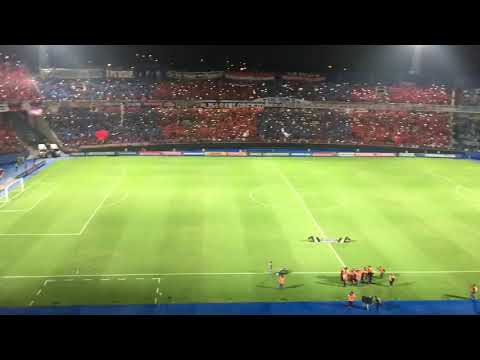 Cerro Porteño vs Gremio, quereeeemos la cooopa de LMHDP 💙❤