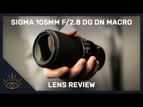 Video thumbnail for Video Review 3