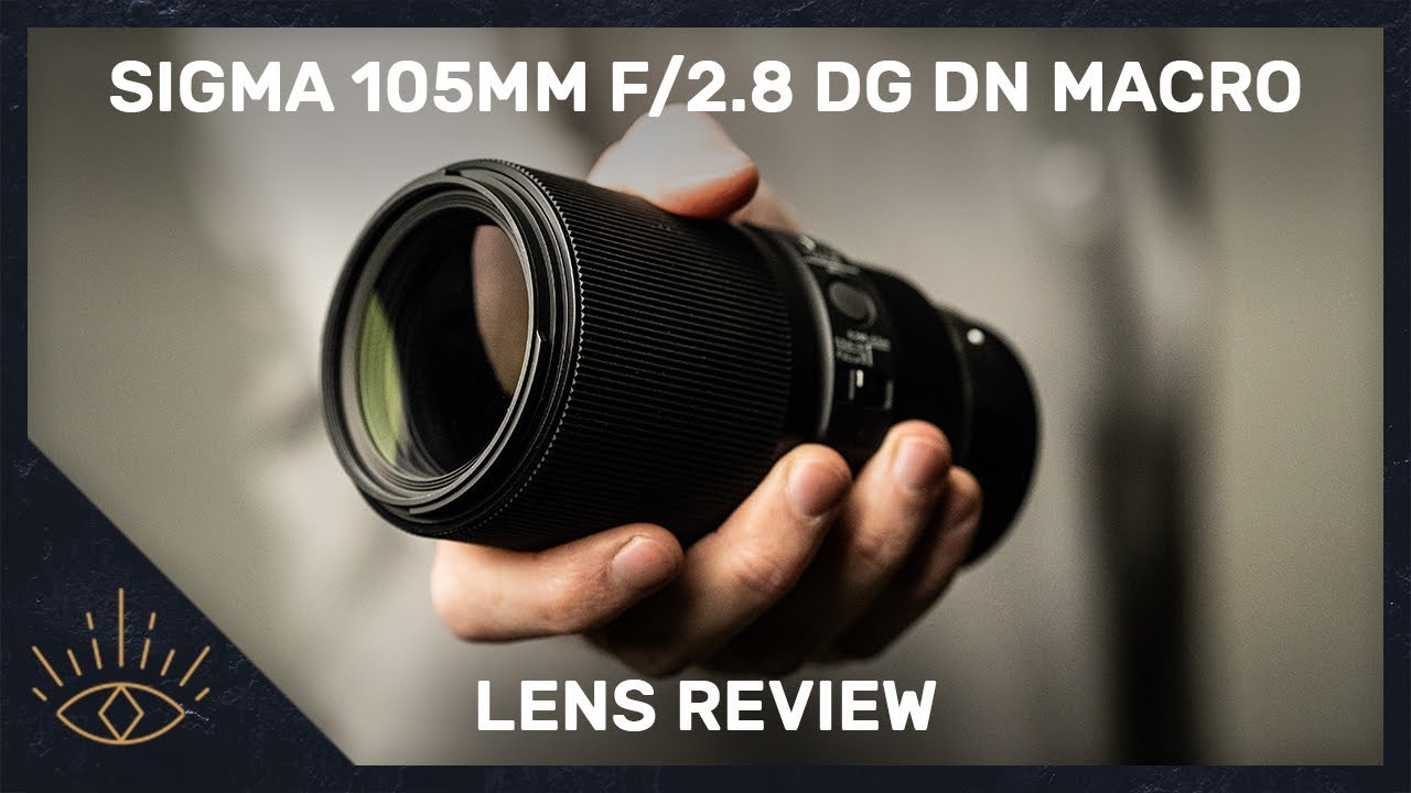 Video thumbnail for Video Review 3