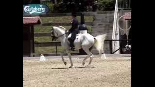 Le Portugal alignera finalement 4 cavaliers à Tryon