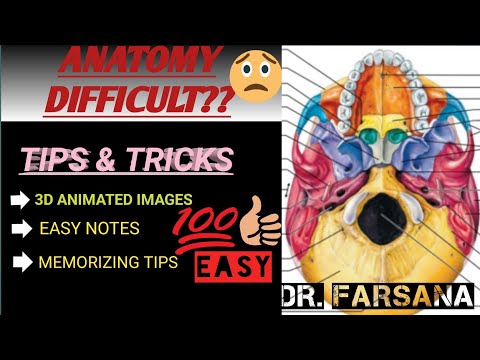 INFERIOR view  of SKULL BASE/MED Class - 2 /BRIEF DESCRIPTION