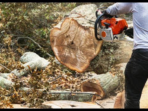 Usługi Alpinistyczne i Drogowe Bogdan Ulman Linoman - video