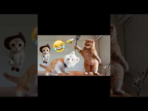 Cute and Funny videos🐱😱😂#cat #cute #funny #shorts