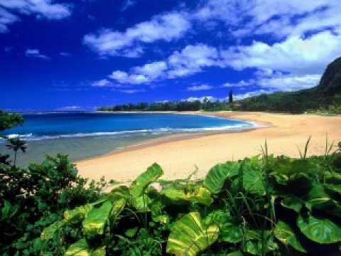 Blue Hawaii - Blue Gowns