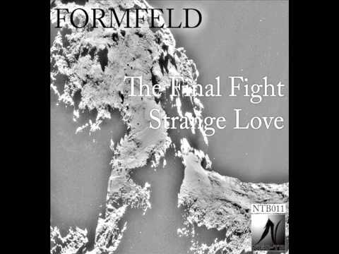 Formfeld - The Final Fight
