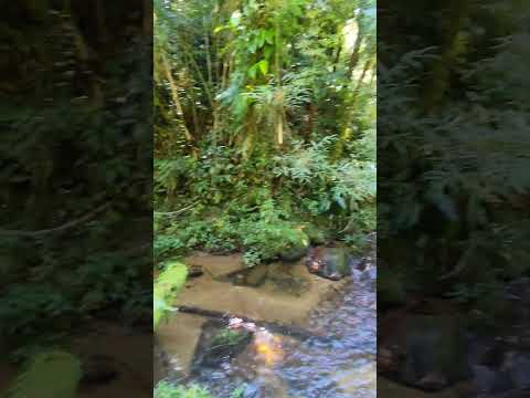 Chegando novidades!!  3 alqueires em Campina Grande do Sul Paraná,breve mais informações.