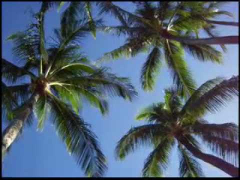 BLOWIN IN THE WIND - 100PERCENTREALWORDS.BLOGSPOT.COM