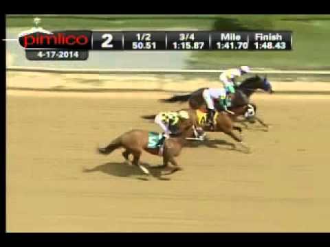 Pimlico 04/17/14 race 2