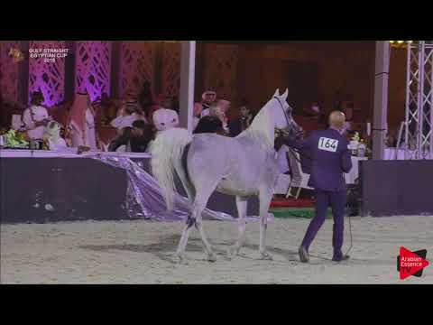 164 HAYAT AL FALA   Gulf SE Cup 2018