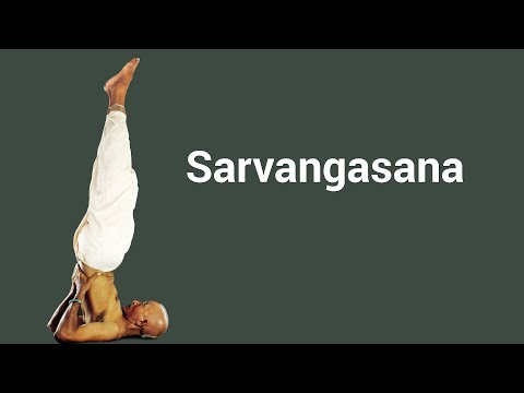 Sarvangasana - The Shoulder Stand