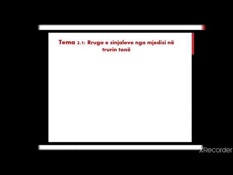 PSIKOLOGJI Temat: 2.1 Rruga e sinjaleve nga mjedisi.. 2.2 Funksionimi i sistemit nervor.