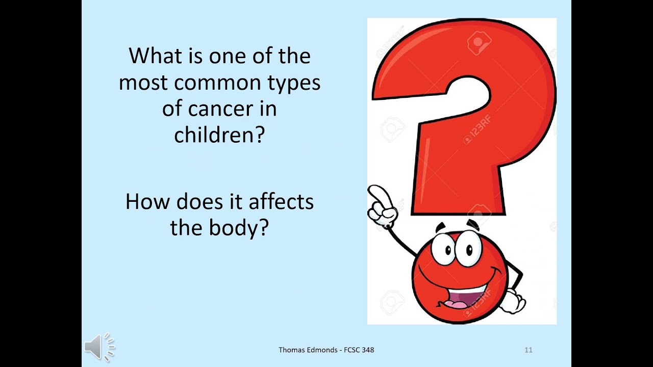 Lesson Plan Final Draft FCSC348