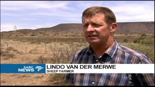 The Story of Karretjie Mense — Karoo Migrants