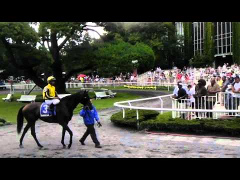 Bowling Green Stakes 2011 Post Parade