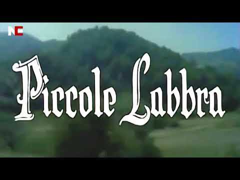 Little lips 1978 | piccole labbra | movie explain in hindi / urdu ...