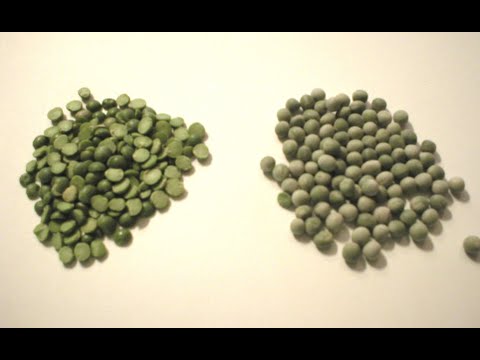 Dried Green Peas - Whole vs Split: A Comparison