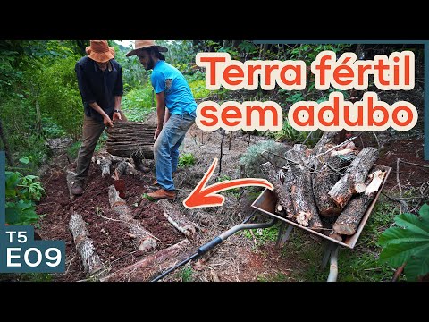 Como fazer canteiro permanente pra horta