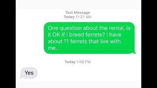 What a steal! These rental ads in Anchorage were too good to be true