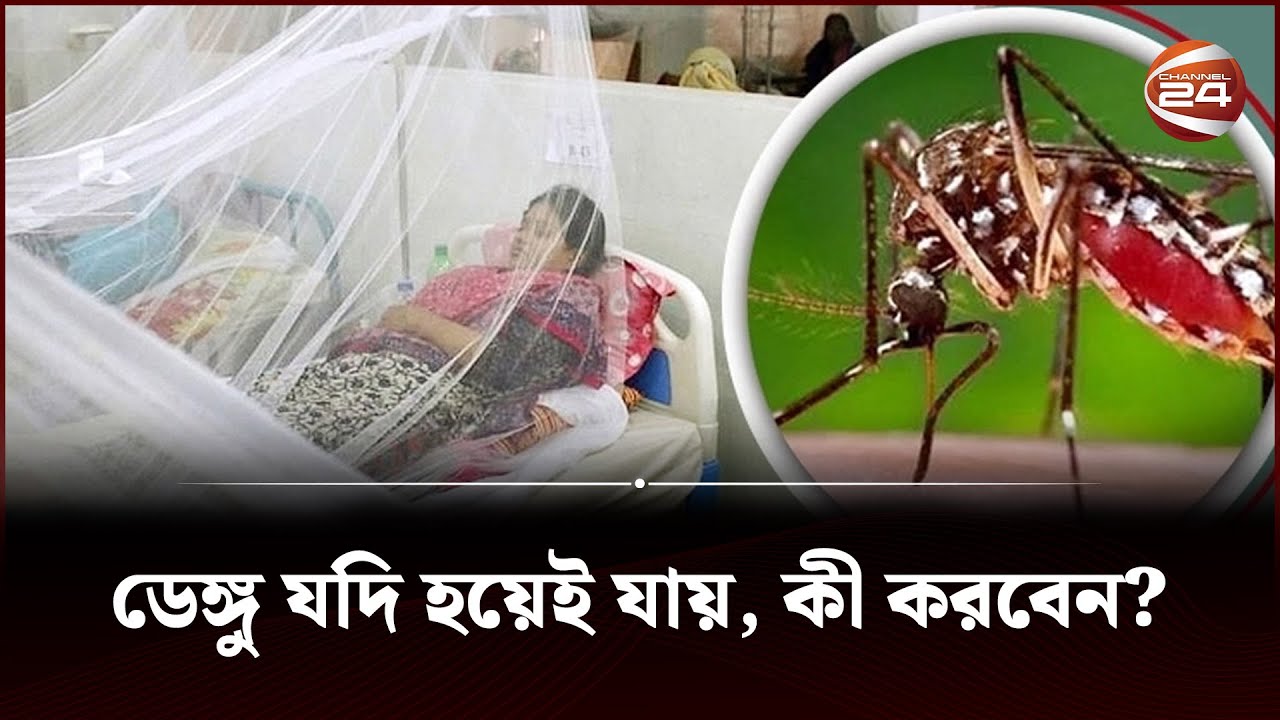 ডেঙ্গু যদি হয়েই যায়, কী করবেন? | Dengue in Bangladesh | Health Tips | Channel 24