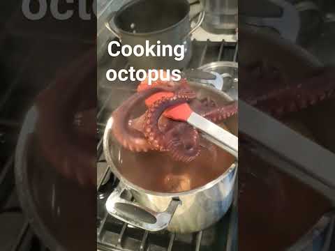 Cooking Octopus for Octopus Salad