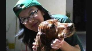 SIN BANDERA - contigo