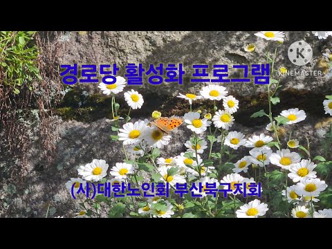 북구 경로당 활성화 프로그램 2탄(부산북구지회)