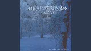 So Pale Is The Light