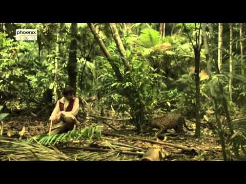 Tropenfieber - Vorstoß am Orinoco 2/5