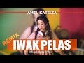 AMEL KATELIA - IWAK PELAS REMIX (Official Music Video)