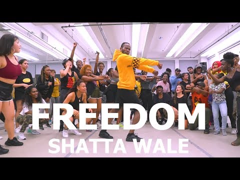 Shatta Wale - Freedom | Meka Oku Afro Dance Choreography