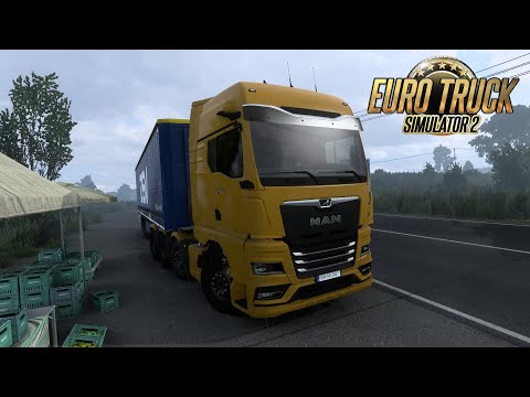 Romania is nice! | Timișoara to Ruse  | ETS2 | New MAN TGX 640 | Logitech Gameplay