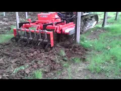 SCALZATORE INTERFILARE SU RIPUNTATORE "VIGNA 5" - Ciancaglini Srl