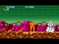 Altered Beast GEN Level 5