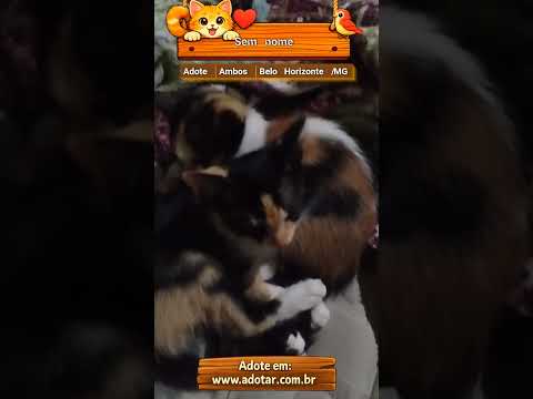 Vídeo de Os 3 estão sem nomes 