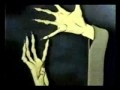 Disney S Halloween Treat Montage