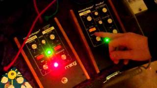 Moogerfooger Freq Box and Low Pass Filter Guitar into Synth Demo