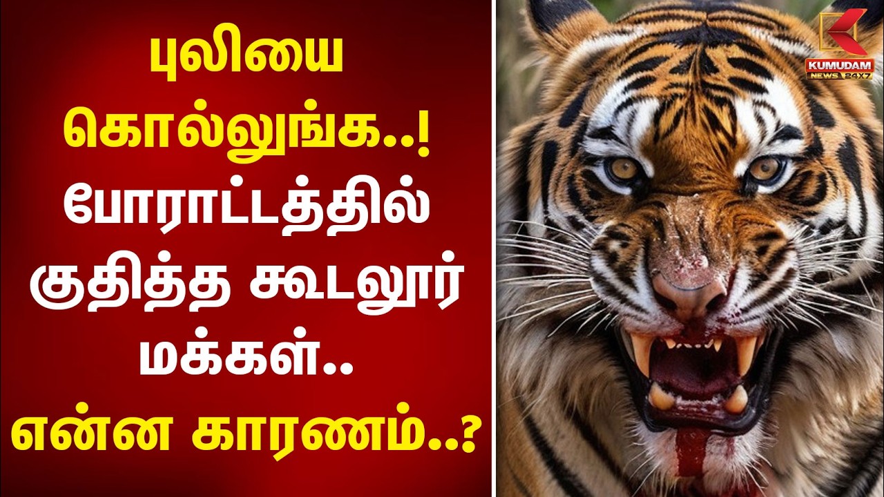 புலியை கொல்லுங்க..! போராட்டத்தில் குதித்த கூடலூர் மக்கள்.. என்ன காரணம்..? | Strike | Gudalur