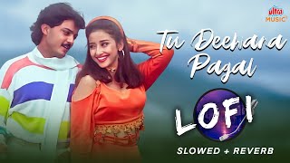 Download lagu Tu Deewana Pagal Mera Ho Gaya | 90's LoFi Love Song | Kumar Sanu, Alka Yagnik | 90's Romantic Songs mp3