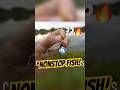 This Tiny Bait ALWAYS Catches Fish Fishing