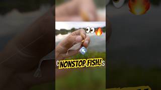 Download lagu Umpan Kecil Ini SELALU Menangkap Ikan 👀🔥 #memancing mp3