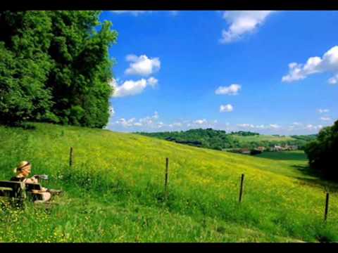 Halve Finale LVK 2012 De Dörpsgekke