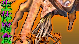 【HIYAToys】カニとイカの中間みたいな怪獣。スキュラ【レビュー】