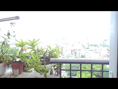 Khu nhà ở số 6 Đội Nhân